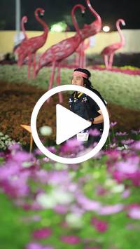 BIB:  <button type="button" onclick="openModal(27590967)" class="btn btn-primary btn-sm float-right" data-toggle="modal" data-target=".modal-high-quality">
                <i class="fa fa-download"></i> Download
                </button>